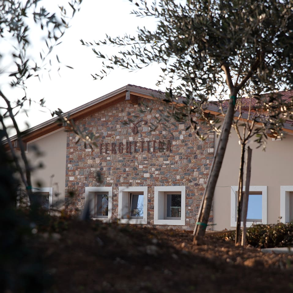 Ferghettina Di Gatti Roberto — foto 3